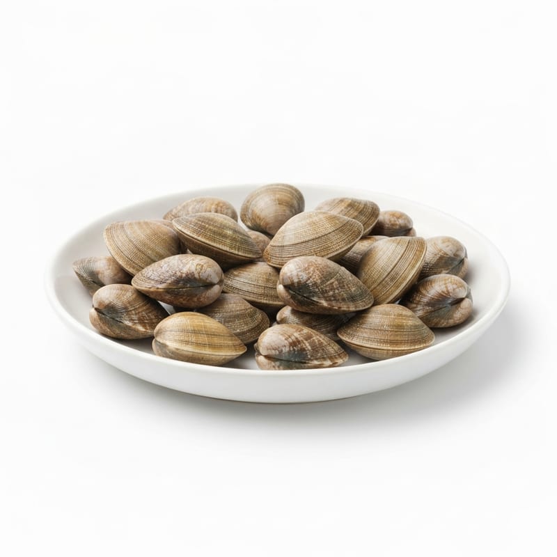 Clams